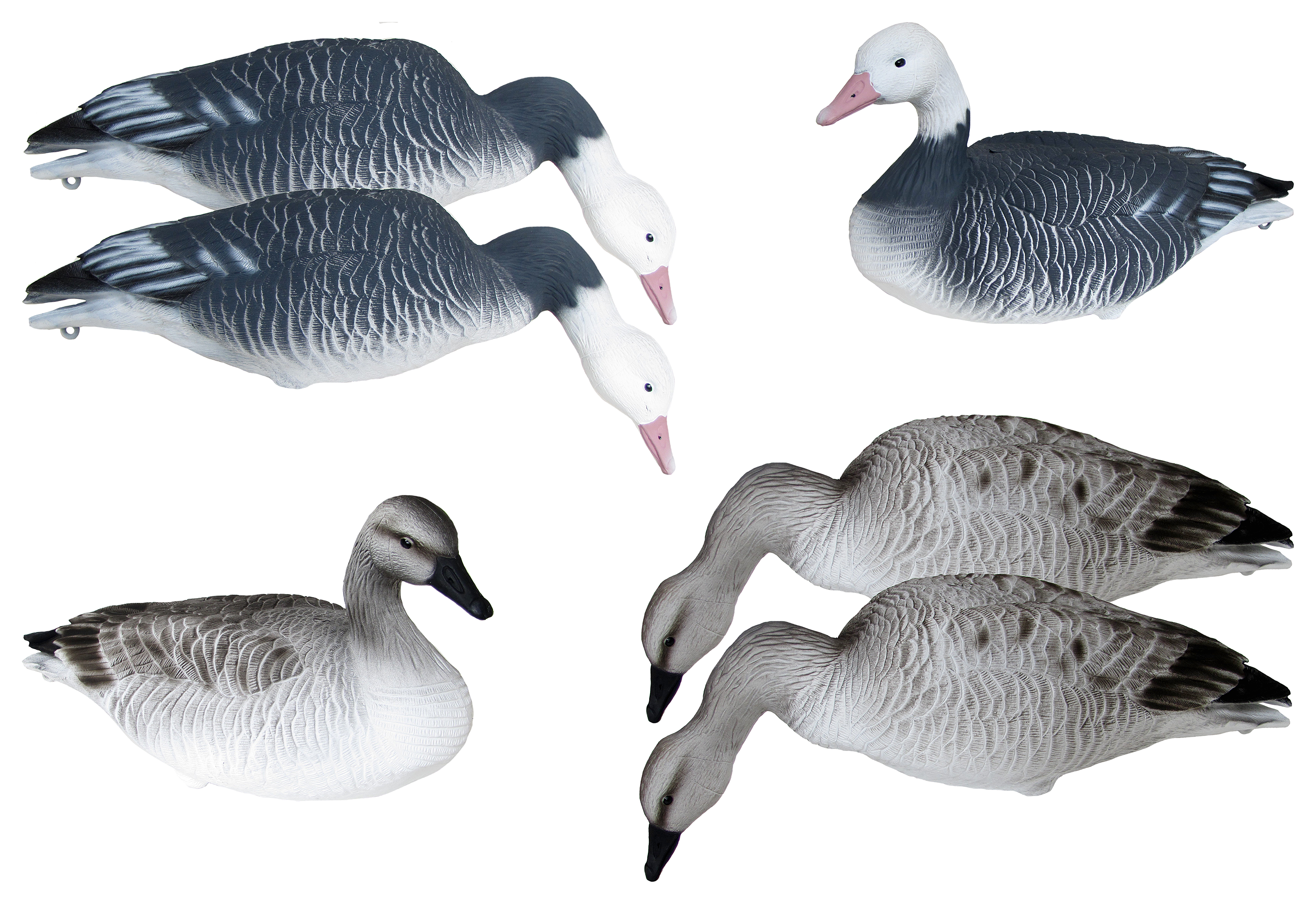 Mayhem Decoys Blue Goose and Juvie Snow Goose Decoy Combo Bass Pro Shops
